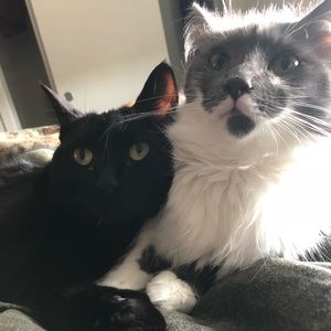 Meet your Posher, Shalynn